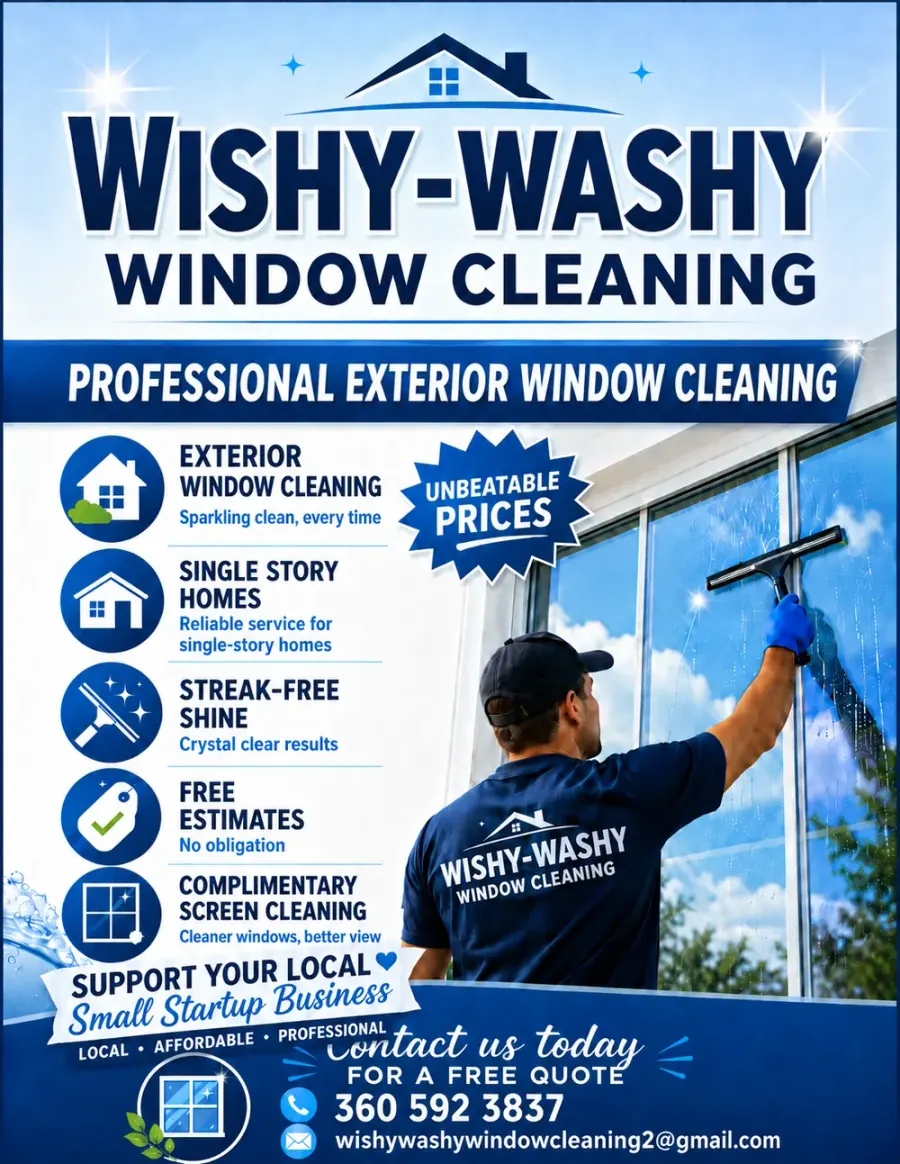 Wishy-Washy Window Cleaning flyer preview